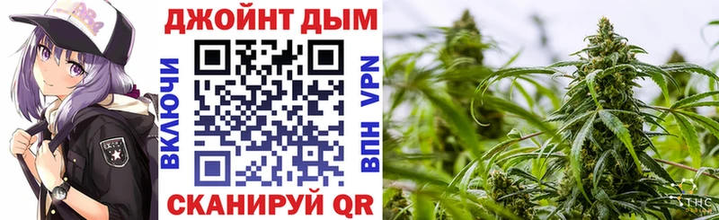 Шишки марихуана OG Kush  магазин  наркотиков  mega зеркало  Щёкино 